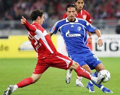 的观众奉献 的观众奉献